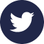 Twitter_Logo_Button_64
